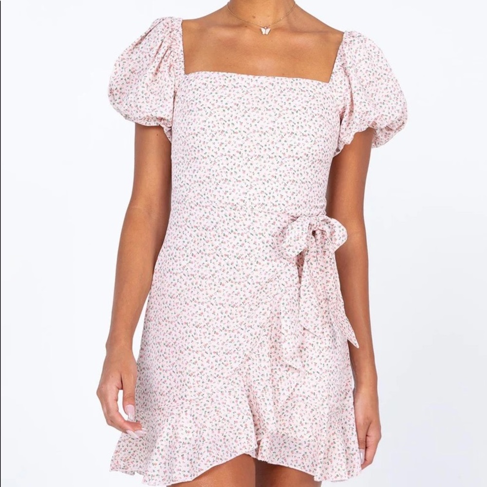 NWT Princess Polly Annie Mini Dress - Pink Floral